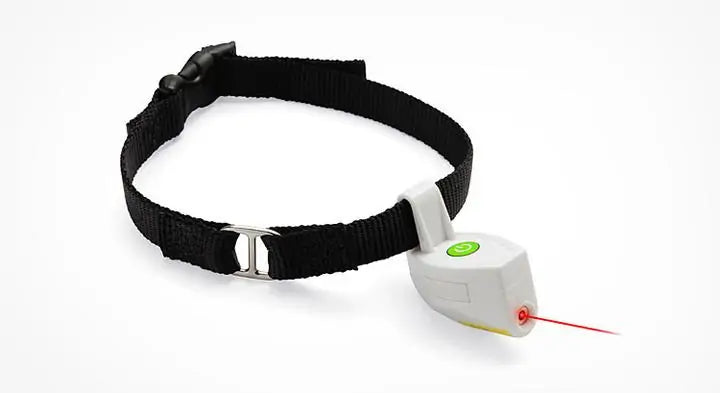 Interactive Pet Collar