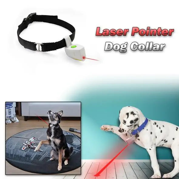 Interactive Pet Collar