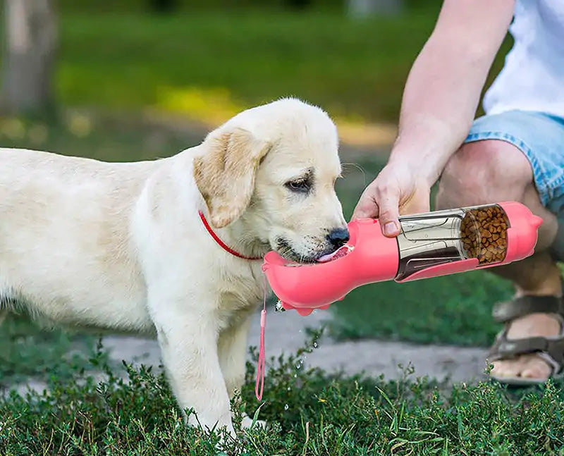 Automatic Pet Feeder