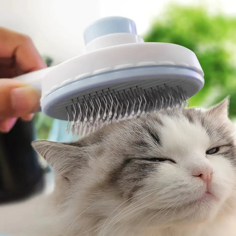 Pet Grooming Brush