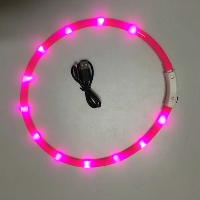 Luminous Pet Collar - Playful Pet Shop